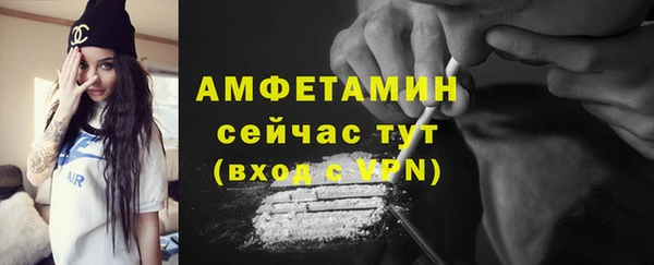гидра Покачи