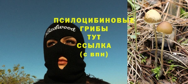 круглые Алексеевка